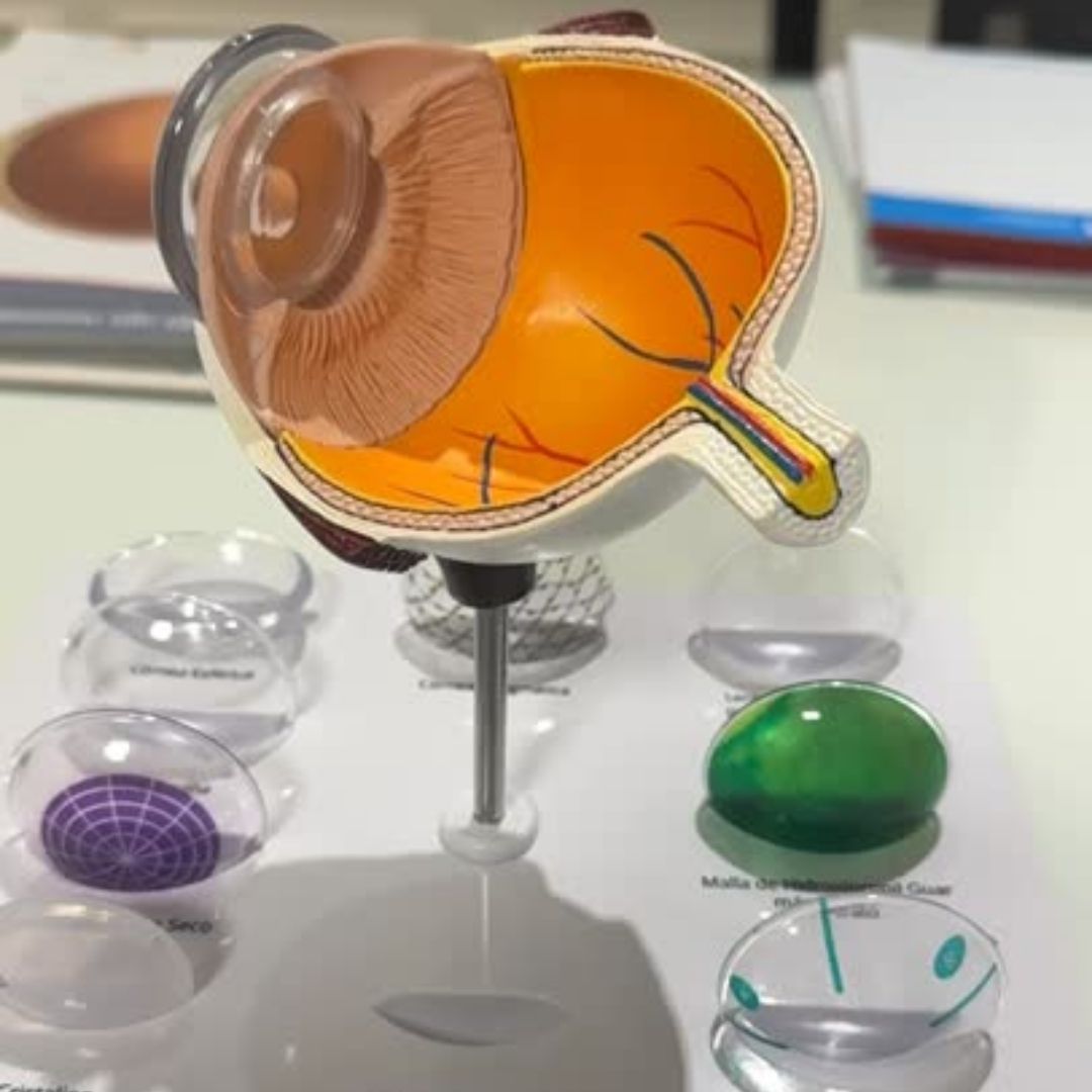 Carrusel_Manavella_5